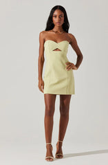 Sunshine Wrap Mini Dress