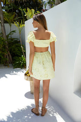 Sunny Day Mini Dress